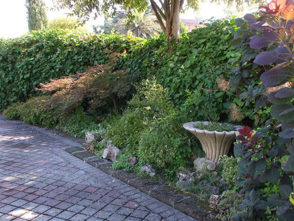 Hotel Sant'Elia SantʼElia Fiumerapido Esterno foto